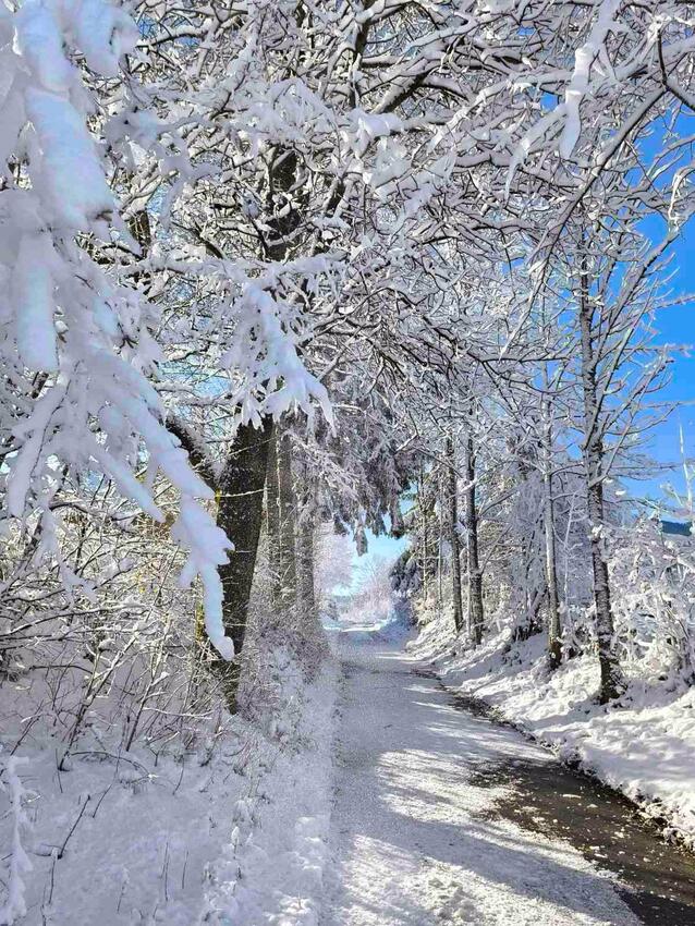Jasenak in Gorski kotar Riviera (Lika i Gorski kotar)