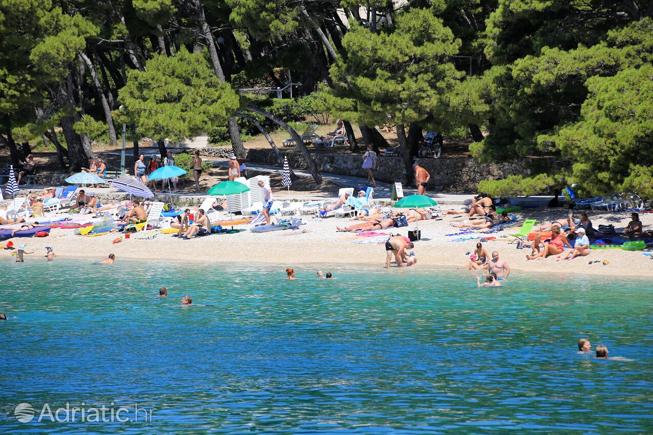 Spiagge nelle vicinanze - Appartamenti con parcheggio Brella - Brela, Macarsca - Makarska