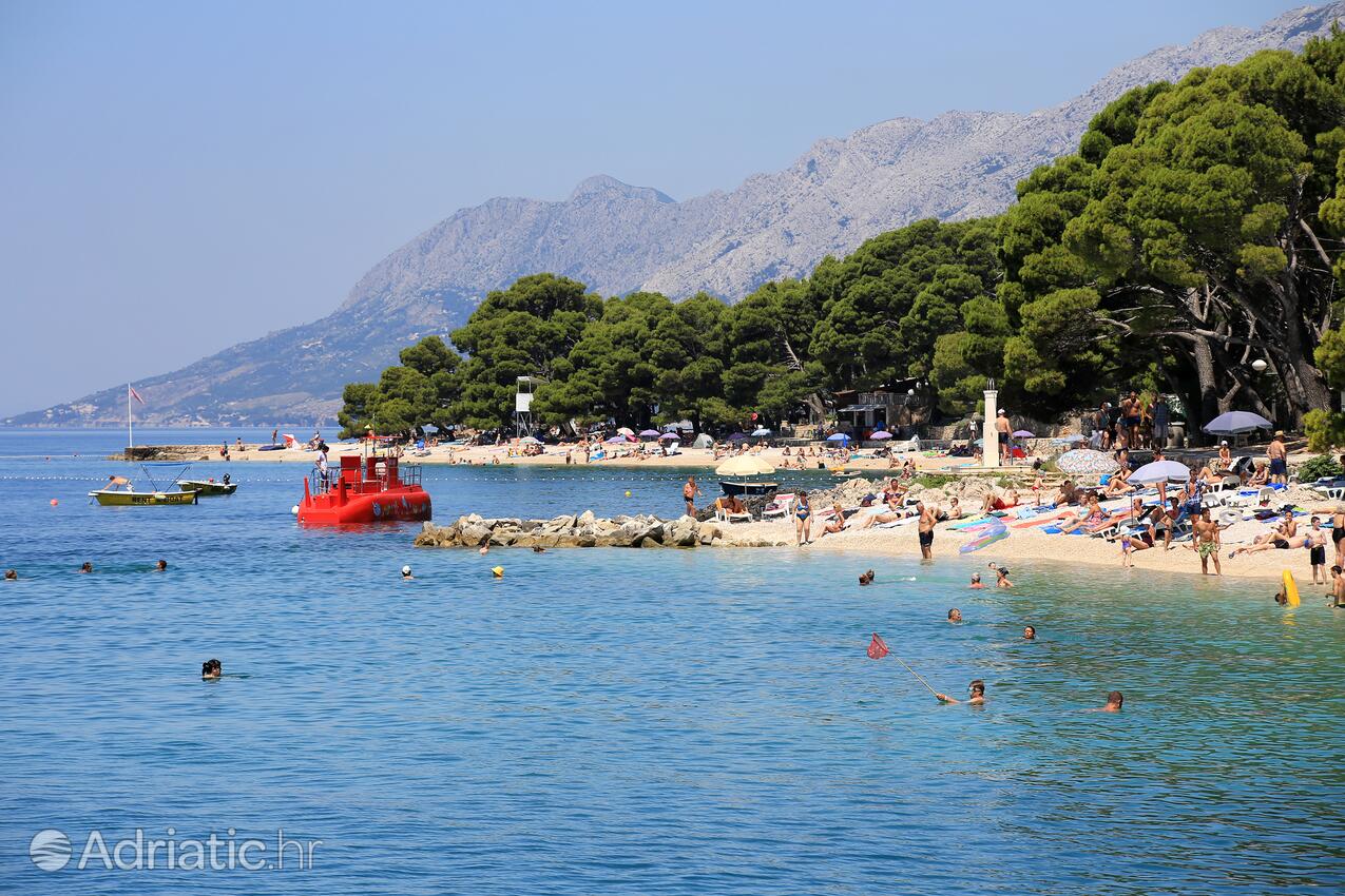 Spiagge nelle vicinanze - Appartamenti con parcheggio Brella - Brela, Macarsca - Makarska
