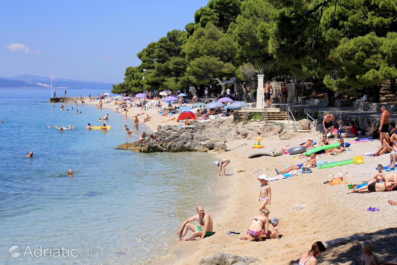 Spiagge nelle vicinanze - Appartamenti con parcheggio Brella - Brela, Macarsca - Makarska