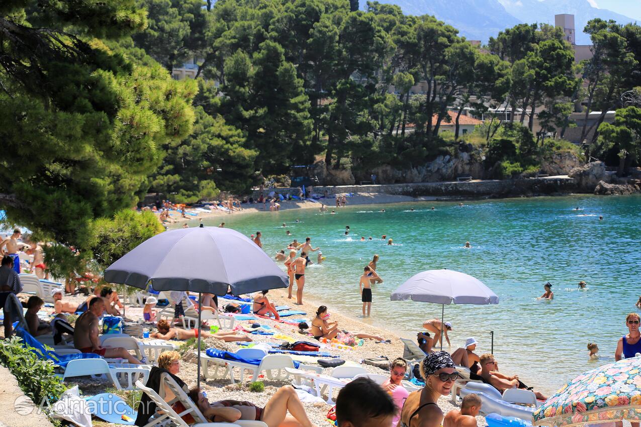 Spiagge nelle vicinanze - Appartamenti con parcheggio Brella - Brela, Macarsca - Makarska