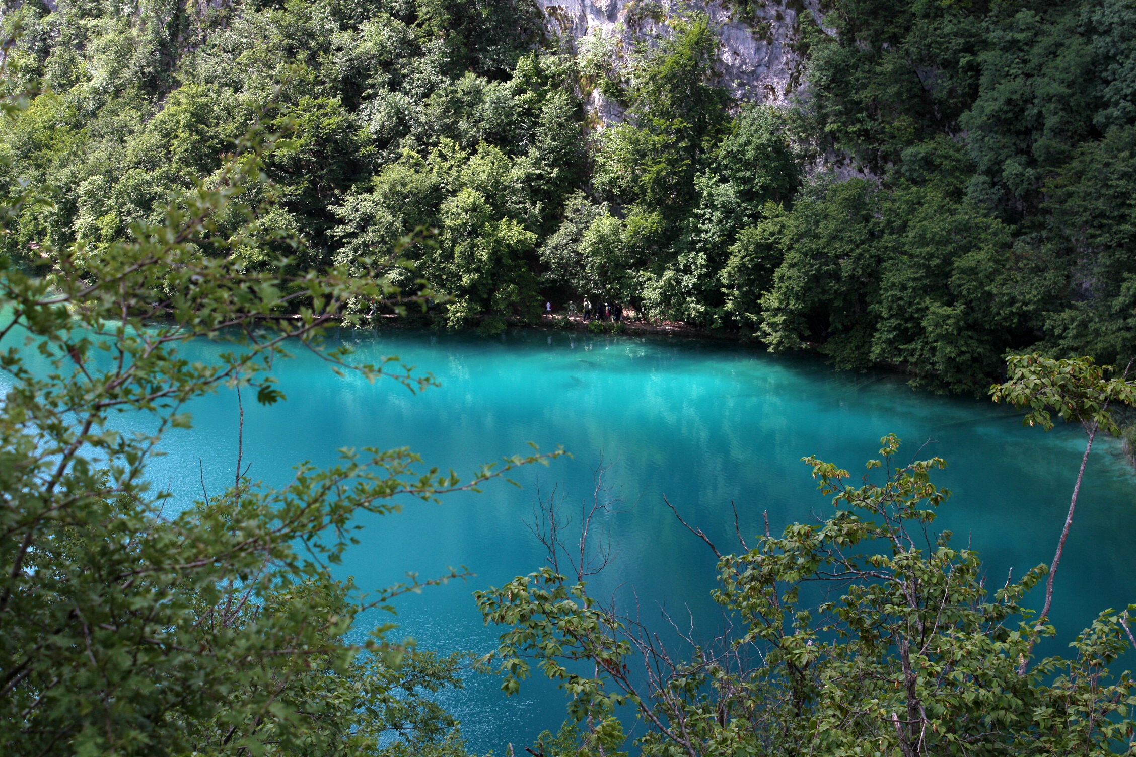 Dove soggiornare a Gornji Vaganac