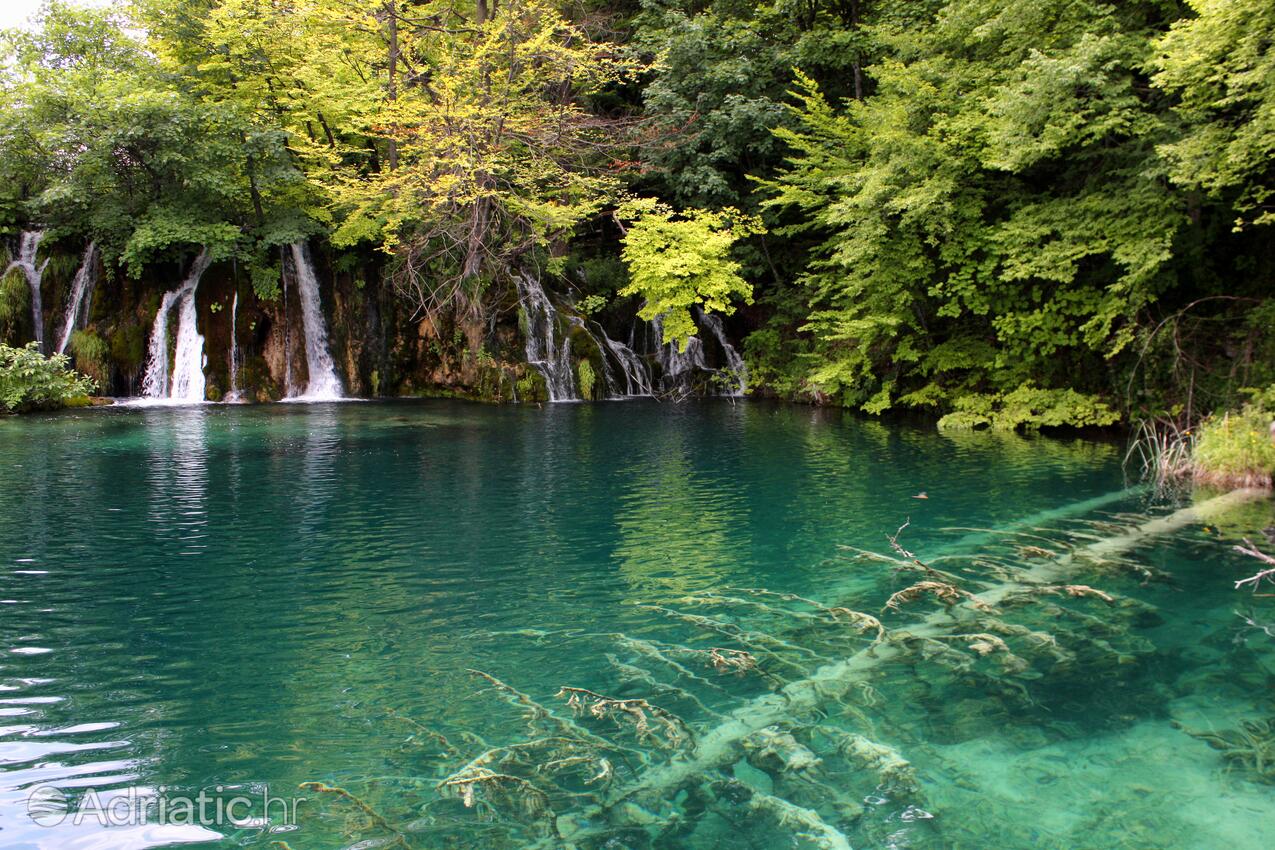 Gornji Vaganac in Riviera Plitvice (Lika i Gorski kotar)