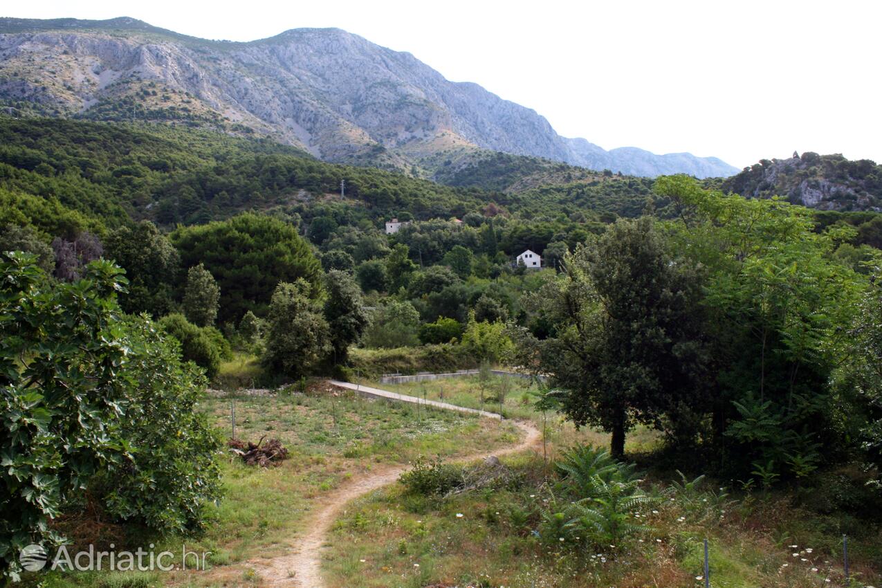 Živogošće - Mala Duba na riwierze Makarska (Srednja Dalmacija)