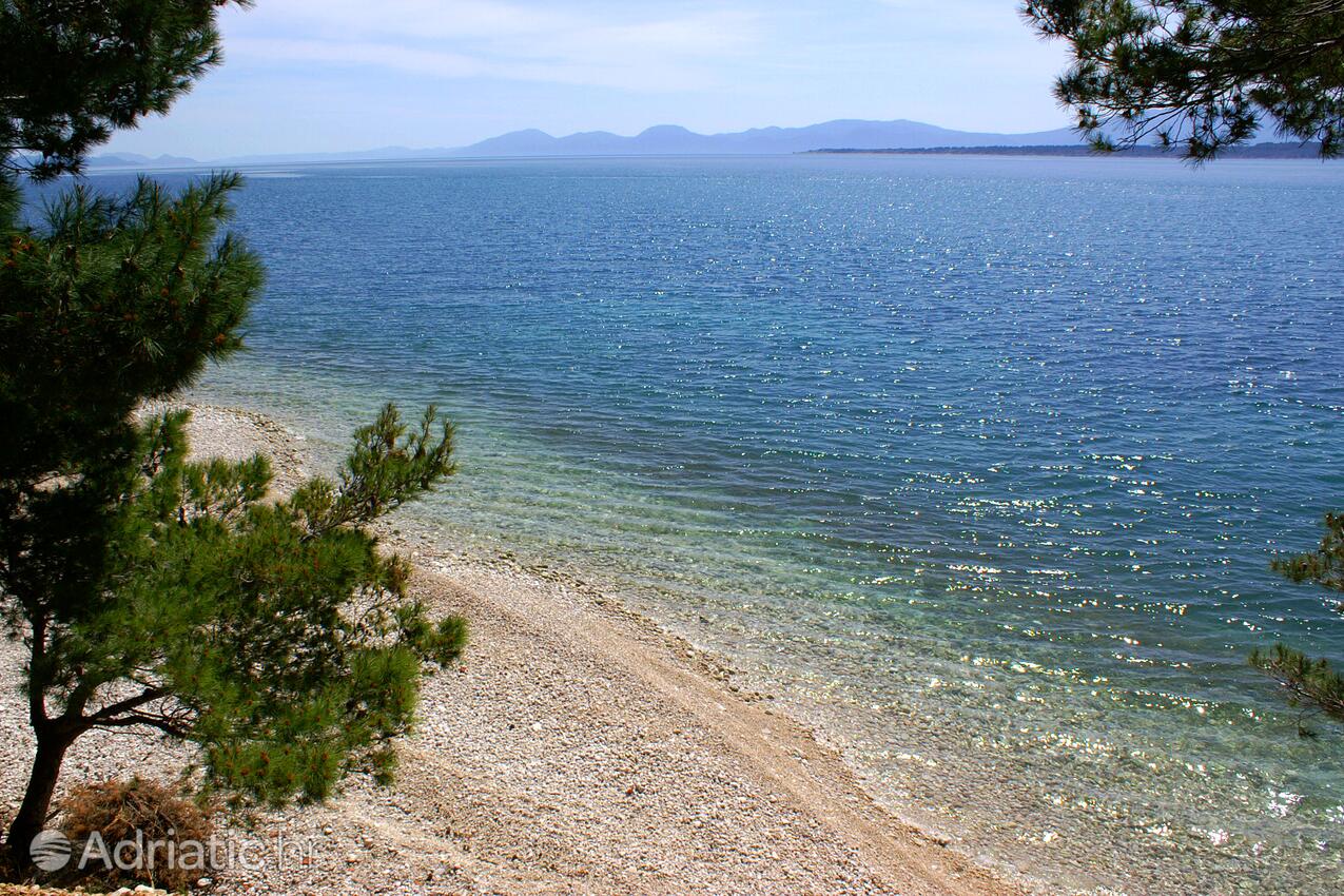 Živogošće - Mala Duba na riwierze Makarska (Srednja Dalmacija)