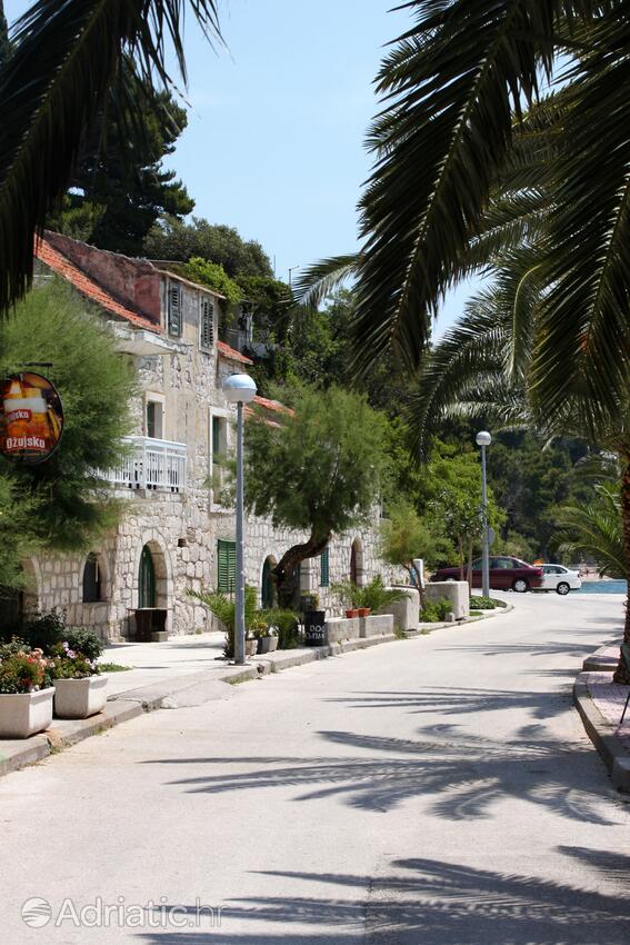 Živogošće - Porat an der Riviera Makarska (Srednja Dalmacija)