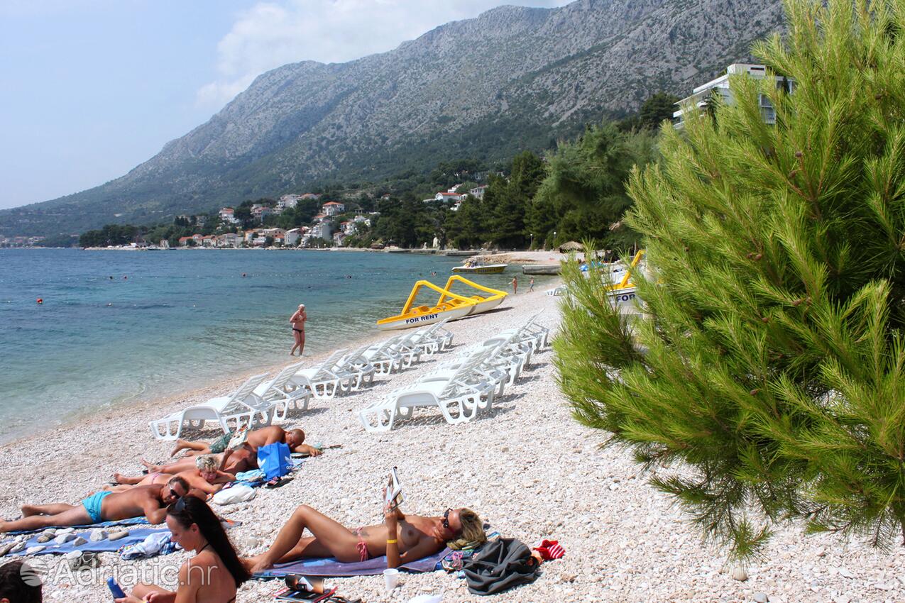 Nearby beaches - Apartments by the sea Živogošće - Porat, Makarska