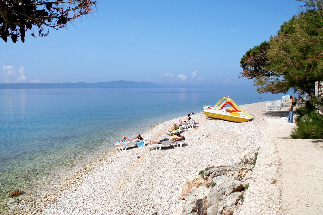 Nearby beaches - Apartments by the sea Živogošće - Porat, Makarska