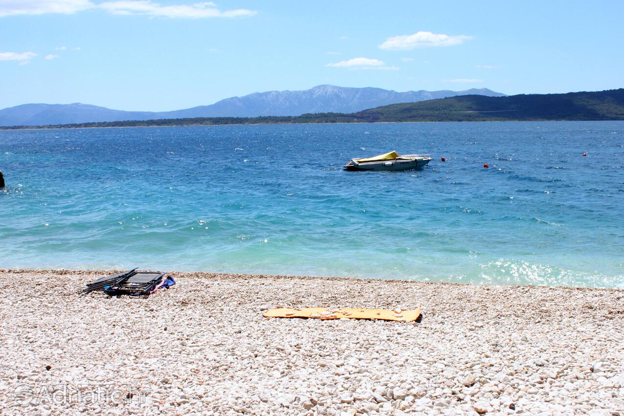 Nearby beaches - Apartments by the sea Živogošće - Porat, Makarska