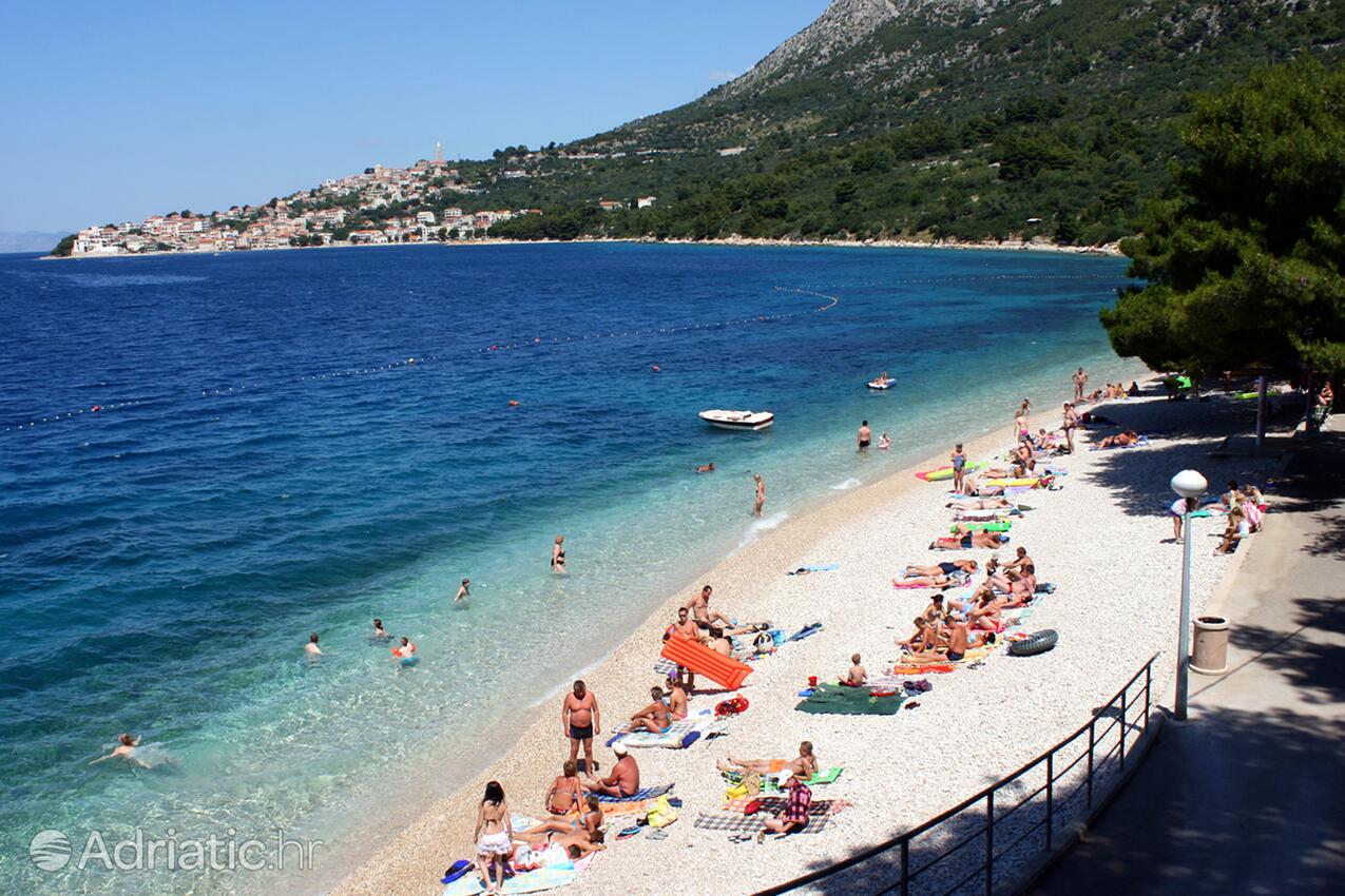 Nearby beaches - Apartments by the sea Živogošće - Porat, Makarska