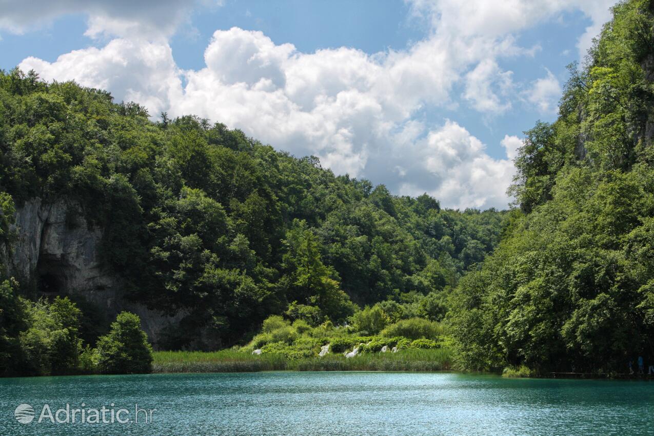 Jelov Klanac na riviére Plitvice (Lika i Gorski kotar)