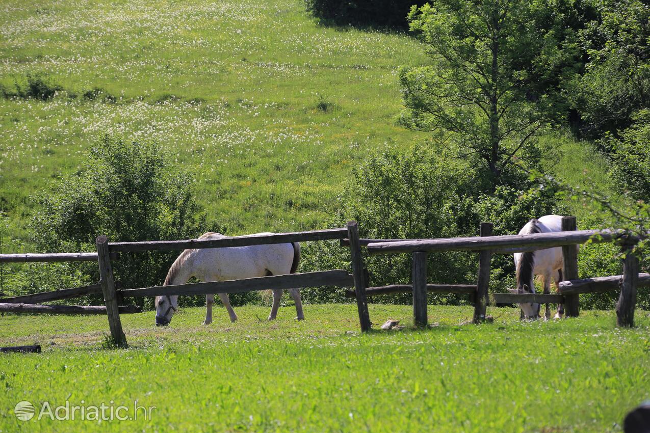 Jelov Klanac in riviera Plitvice (Lika i Gorski kotar)