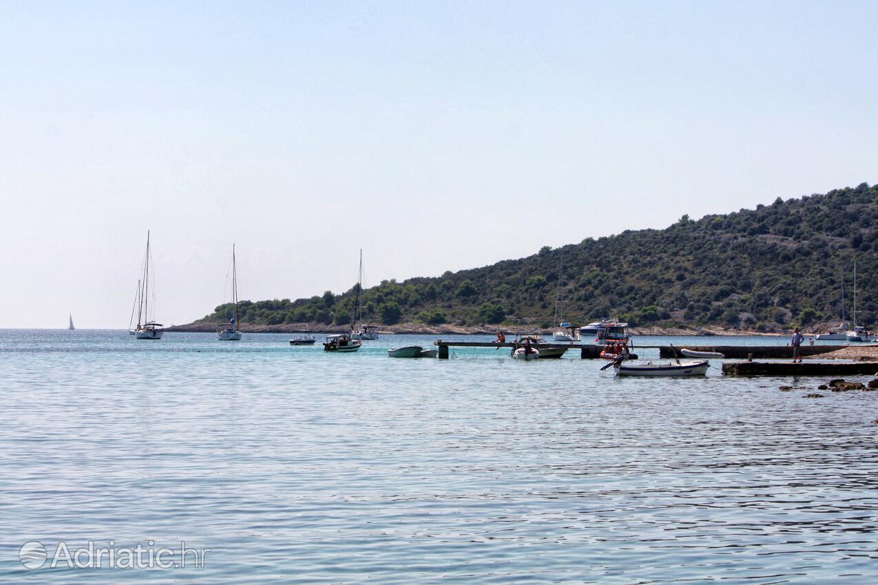 Krknjaši sur l’île Drvenik (Srednja Dalmacija)