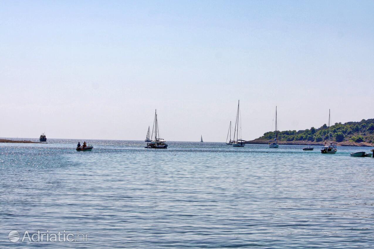 Krknjaši sur l’île Drvenik (Srednja Dalmacija)
