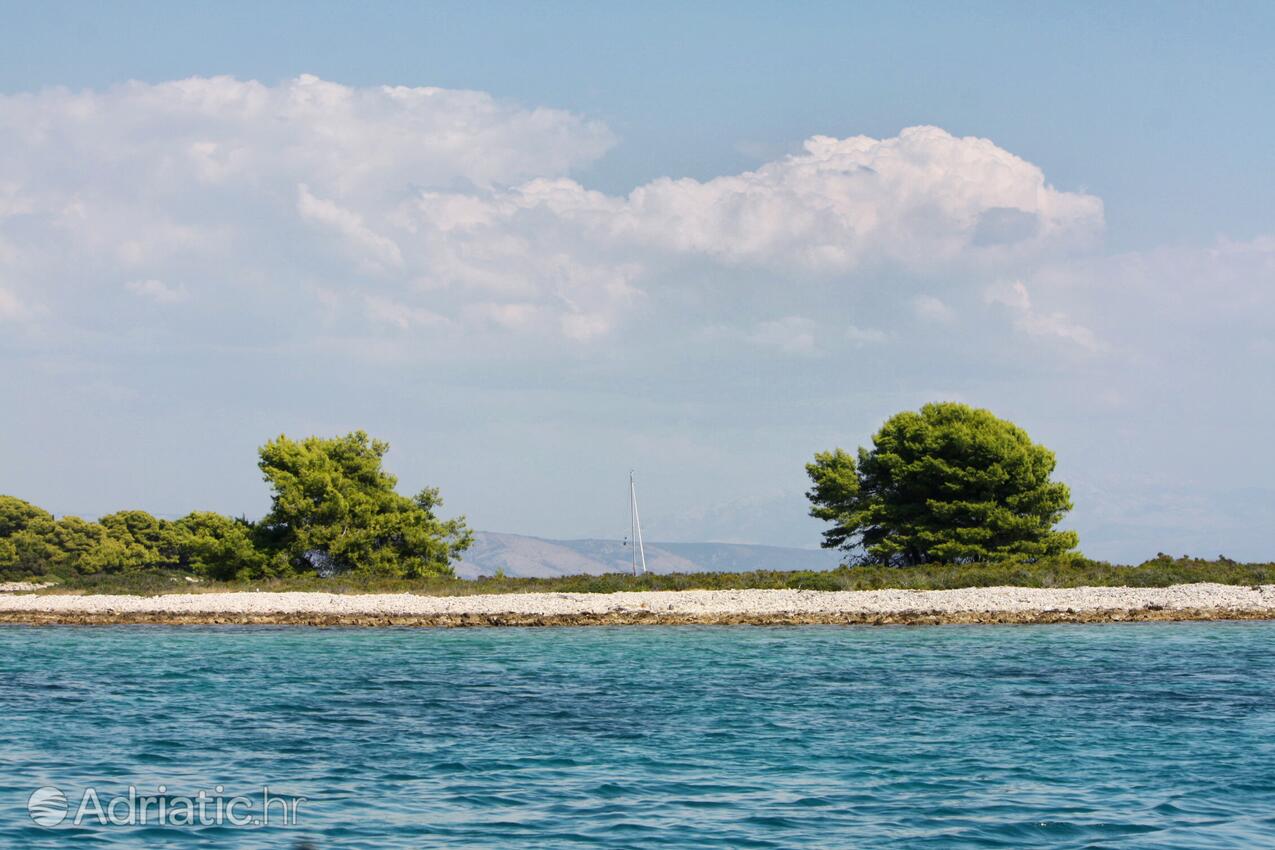 Krknjaši sur l’île Drvenik (Srednja Dalmacija)