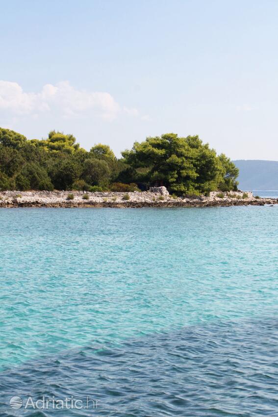 Krknjaši sur l’île Drvenik (Srednja Dalmacija)