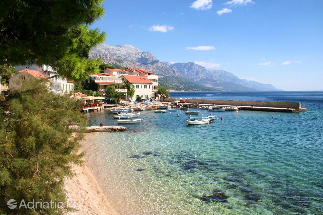 Pisak u rivijeri Omiš (Srednja Dalmacija)