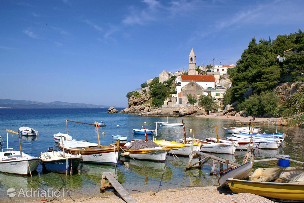 Pisak u rivijeri Omiš (Srednja Dalmacija)