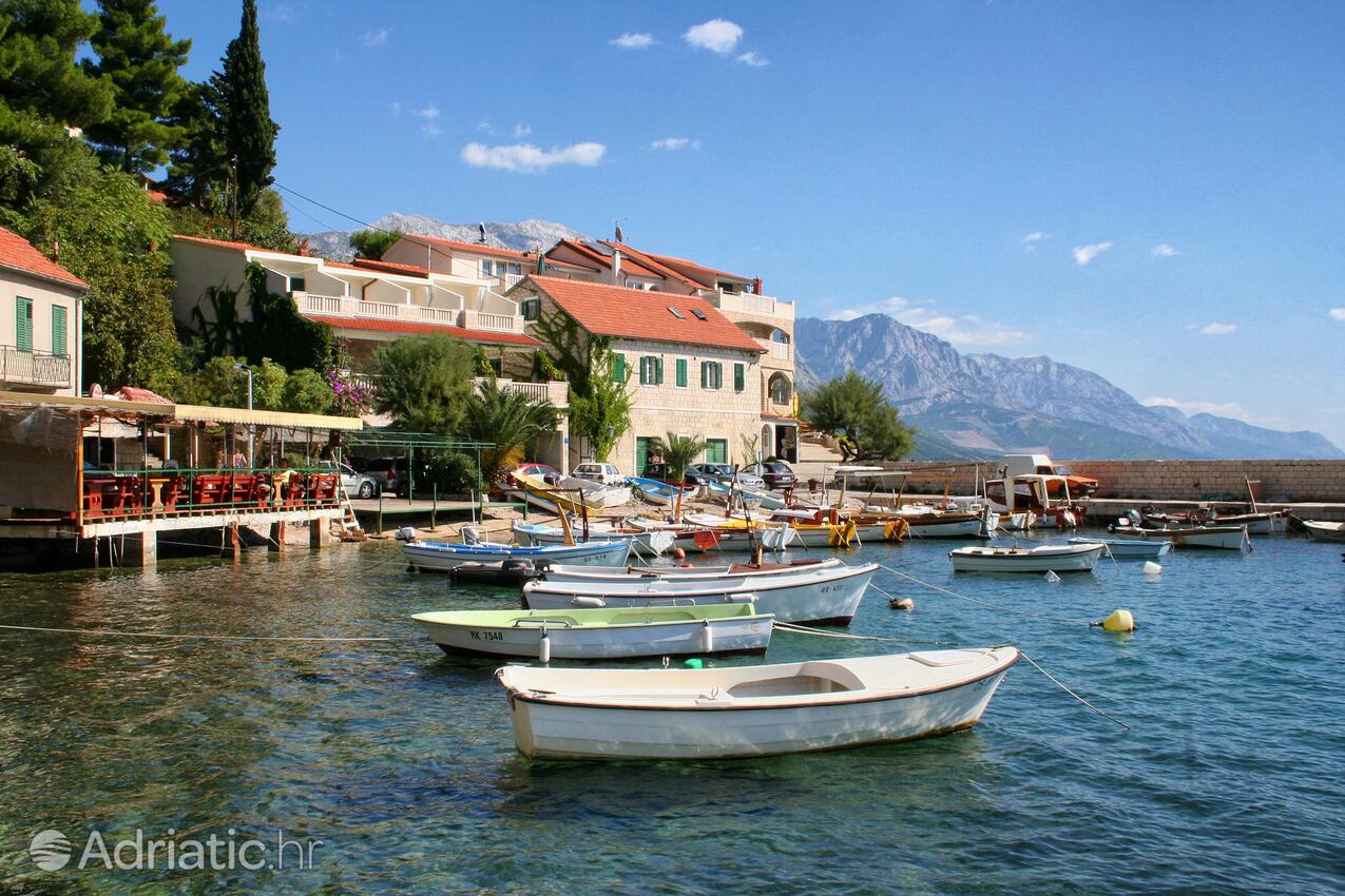 Pisak u rivijeri Omiš (Srednja Dalmacija)