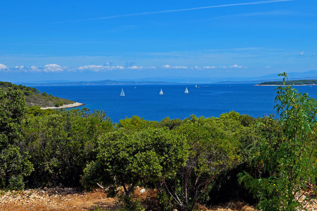 Paklinski otoci auf der Insel  Hvar (Srednja Dalmacija)