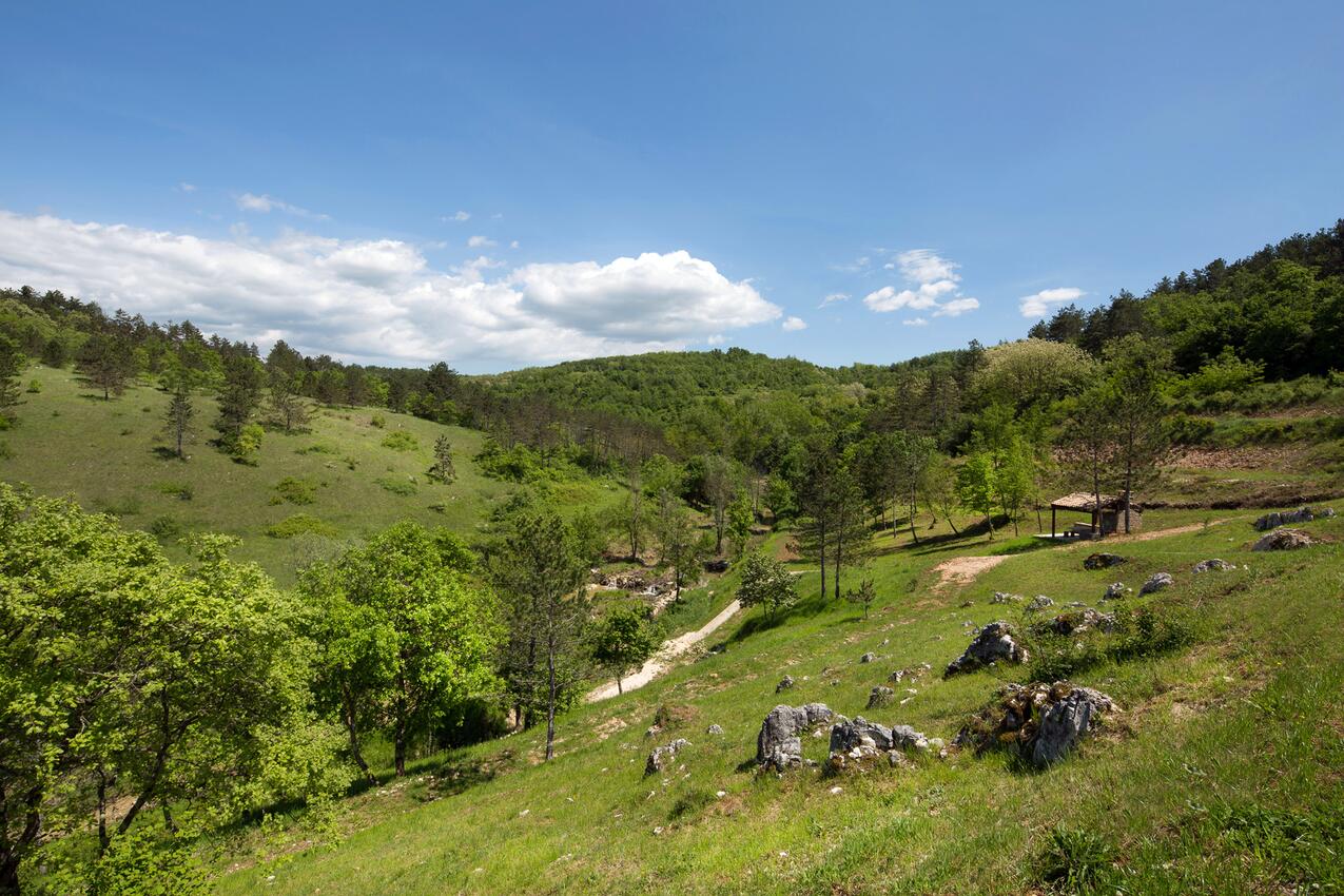 Trviž riviéra Središnja Istra (Istra)