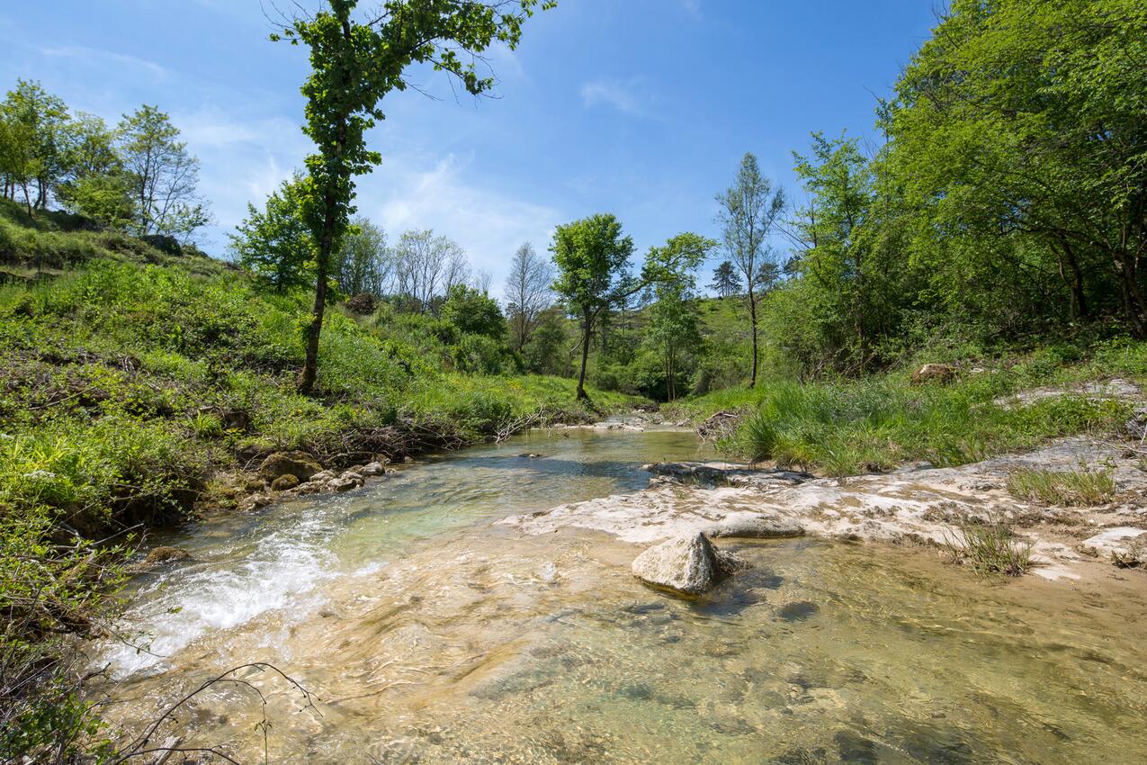 Trviž riviéra Središnja Istra (Istra)