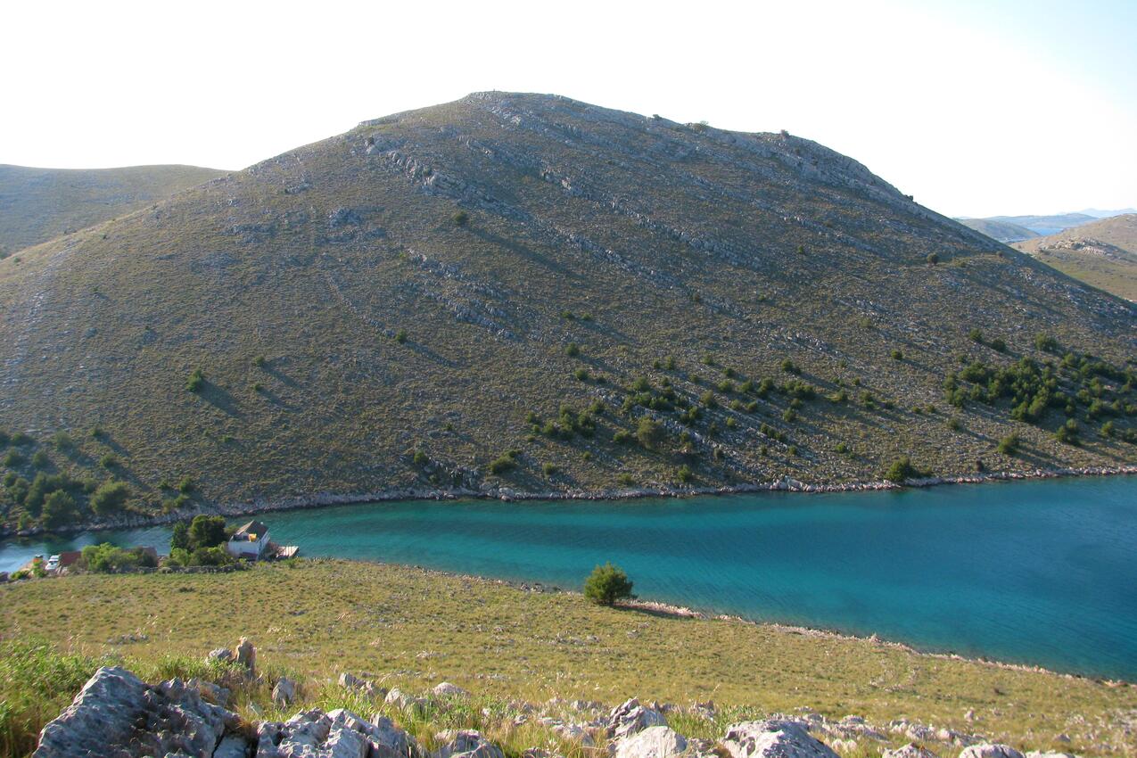 Lupešćina pe insula Kornati (Sjeverna Dalmacija)