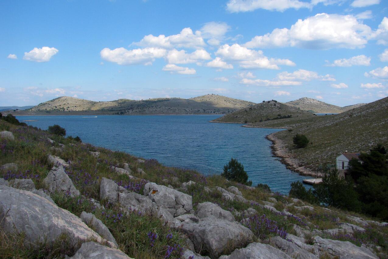 Lupešćina pe insula Kornati (Sjeverna Dalmacija)