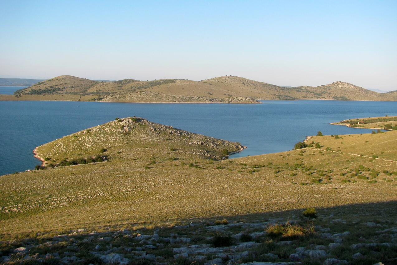 Lupešćina pe insula Kornati (Sjeverna Dalmacija)