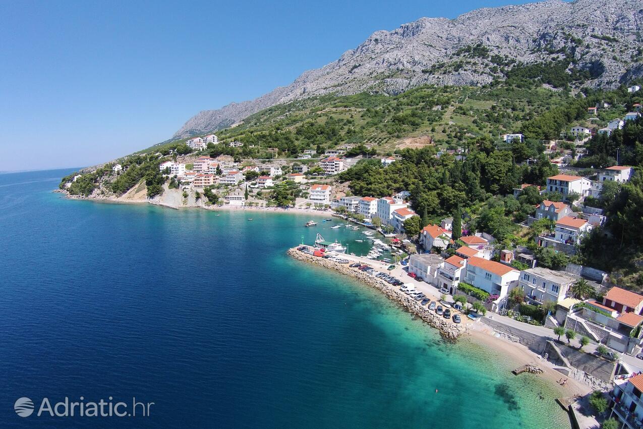 Mimice u rivijeri Omiš (Srednja Dalmacija)