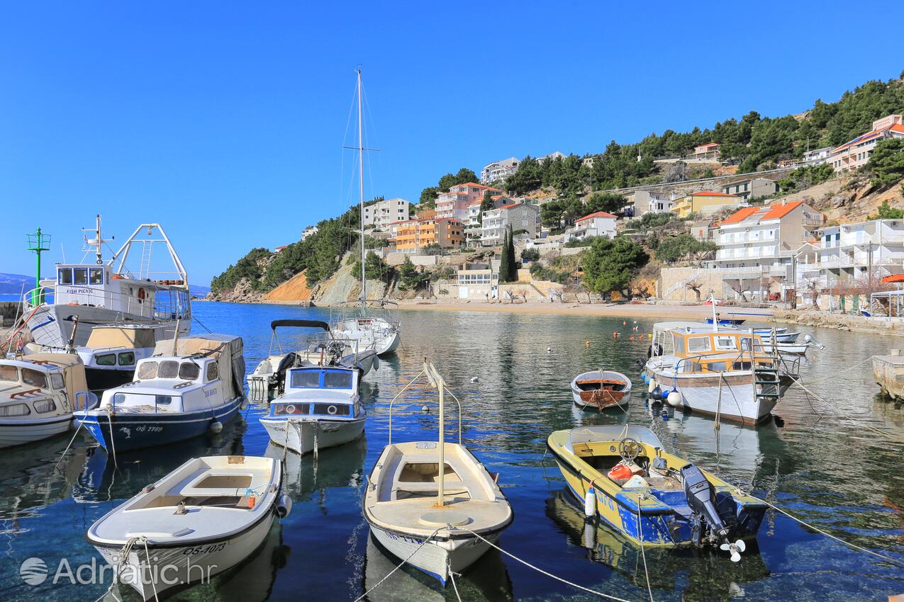 Mimice u rivijeri Omiš (Srednja Dalmacija)