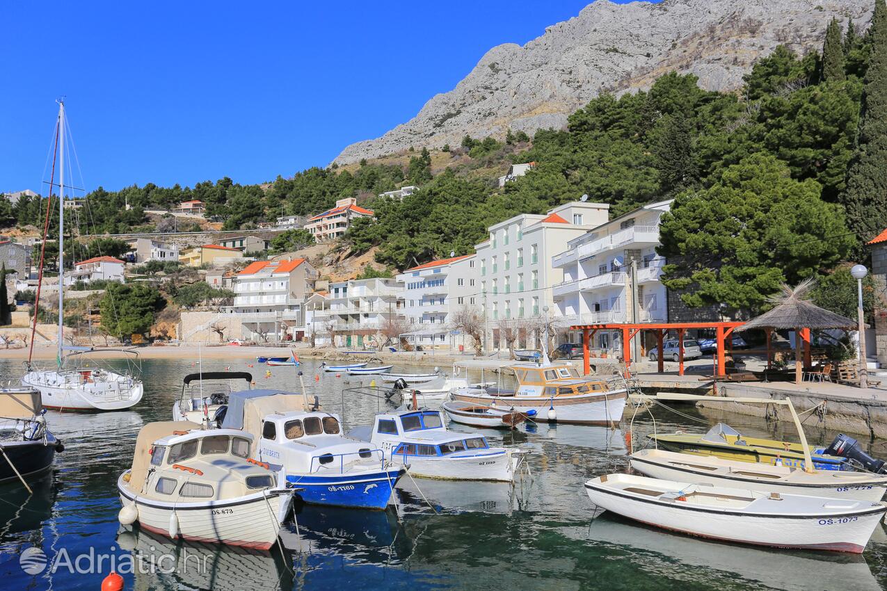 Mimice u rivijeri Omiš (Srednja Dalmacija)