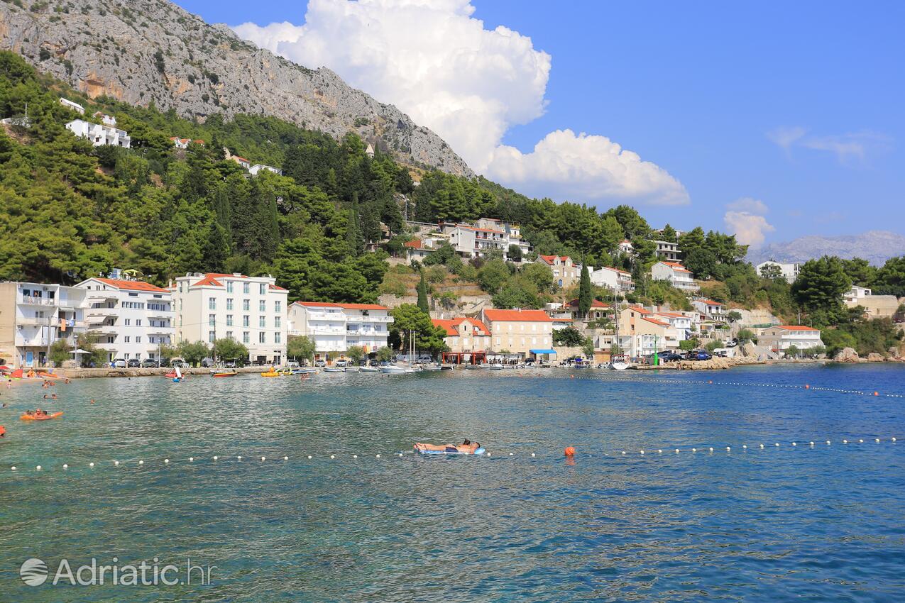 Mimice u rivijeri Omiš (Srednja Dalmacija)