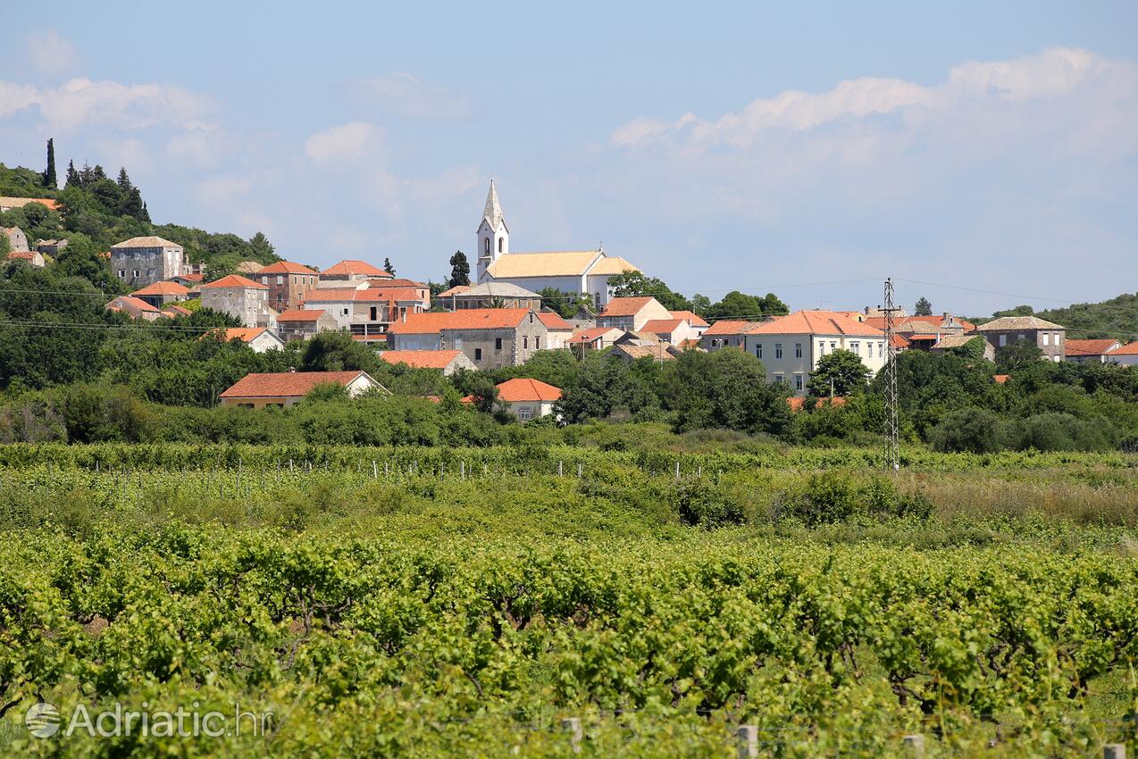 Janjina na riviére Pelješac (Južna Dalmacija)