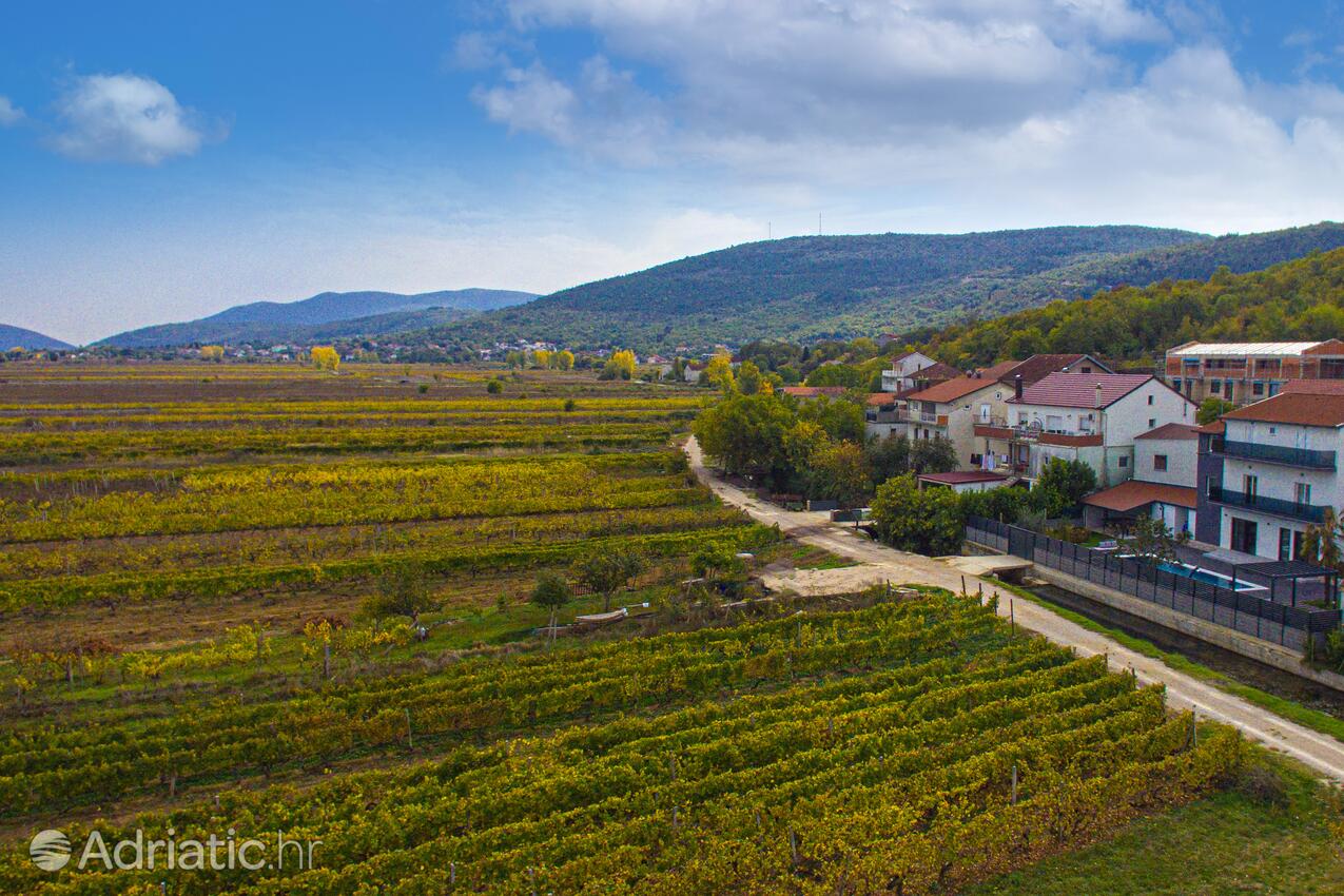 Zmijavci dans la côte Zagora (Srednja Dalmacija)