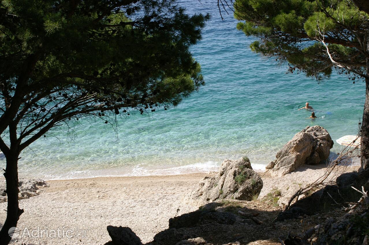 Spiagge nelle vicinanze - Appartamenti accanto al mare Medici, Almissa - Omiš