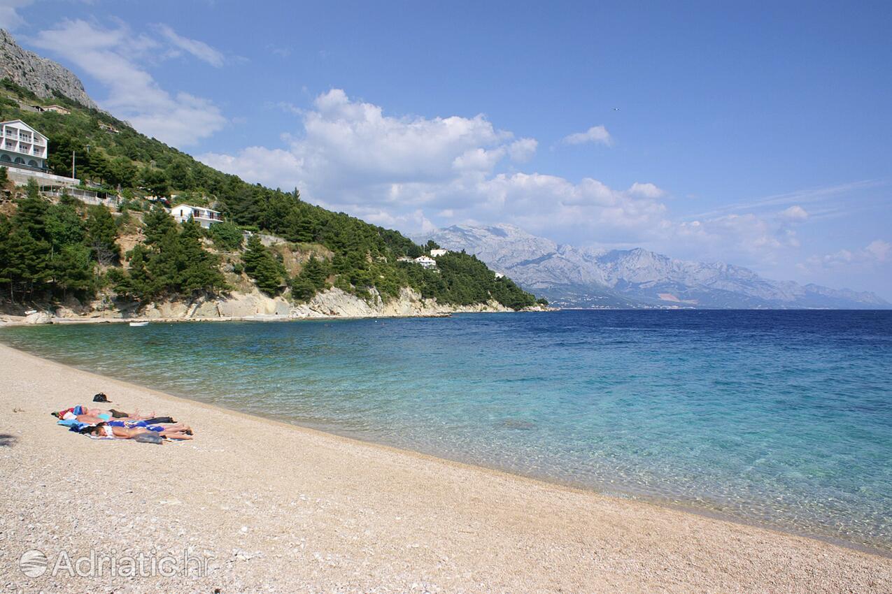 Spiagge nelle vicinanze - Appartamenti accanto al mare Medici, Almissa - Omiš