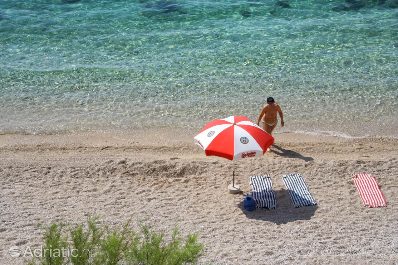 Spiagge nelle vicinanze - Appartamenti accanto al mare Medici, Almissa - Omiš
