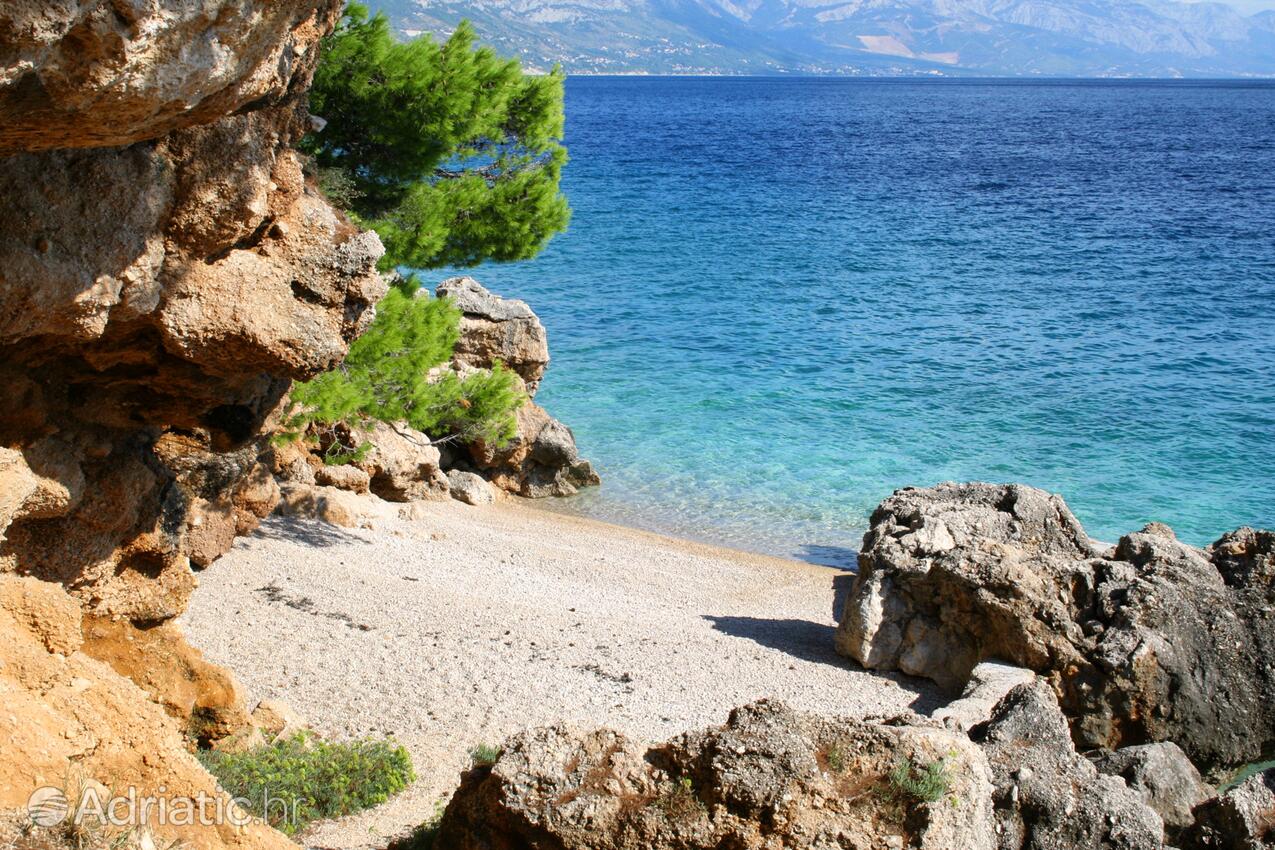 Spiagge nelle vicinanze - Appartamenti accanto al mare Medici, Almissa - Omiš