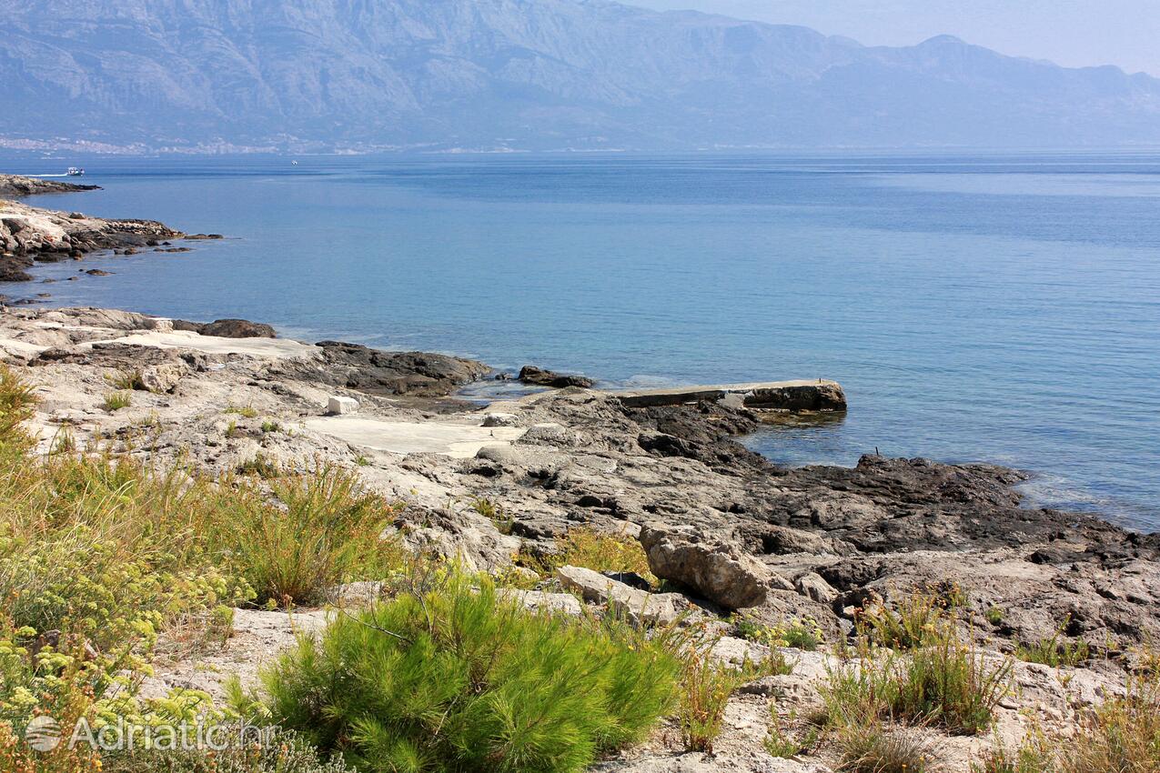 Nearby beaches - Apartments by the sea Povlja, Brač