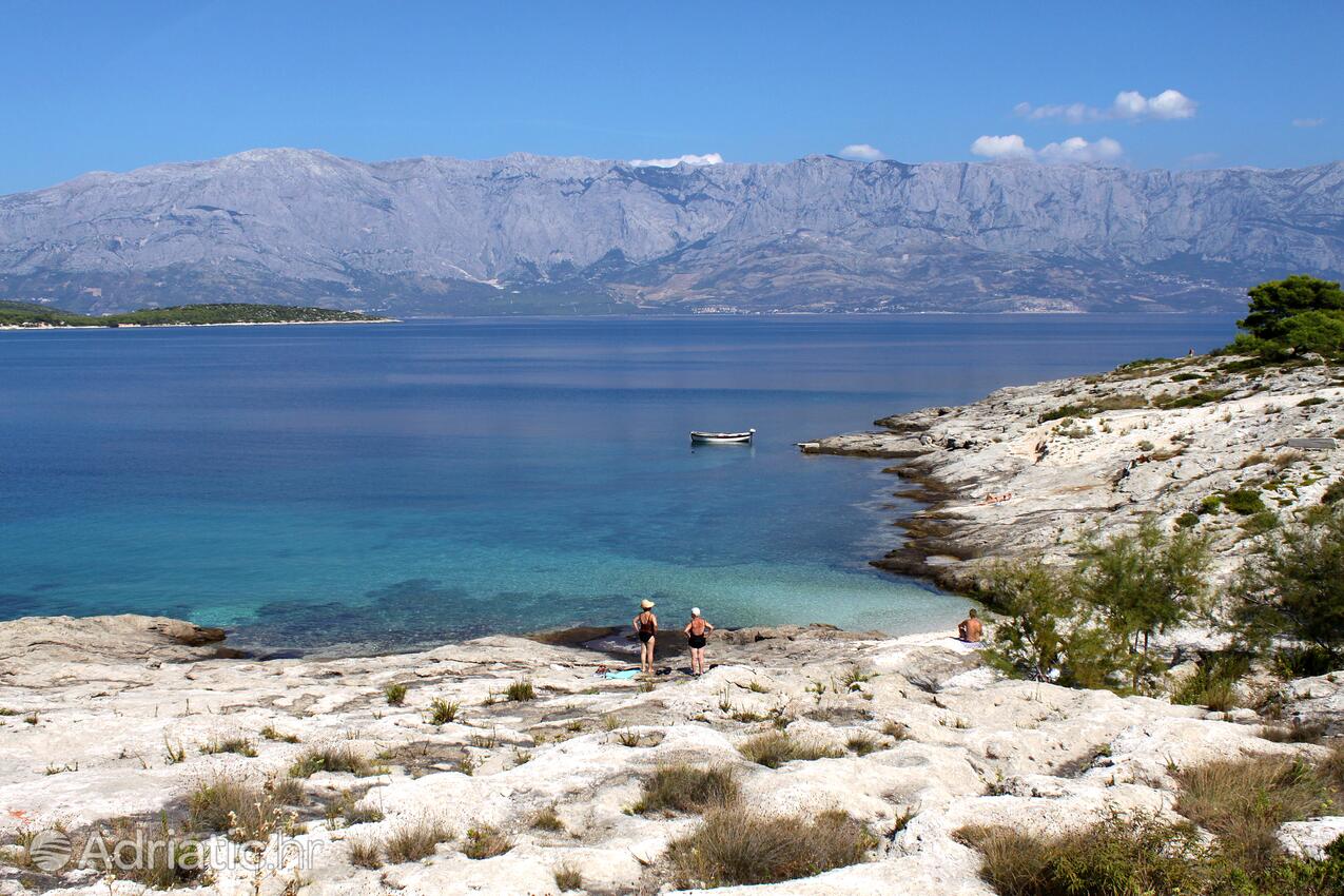 Nearby beaches - Apartments by the sea Povlja, Brač