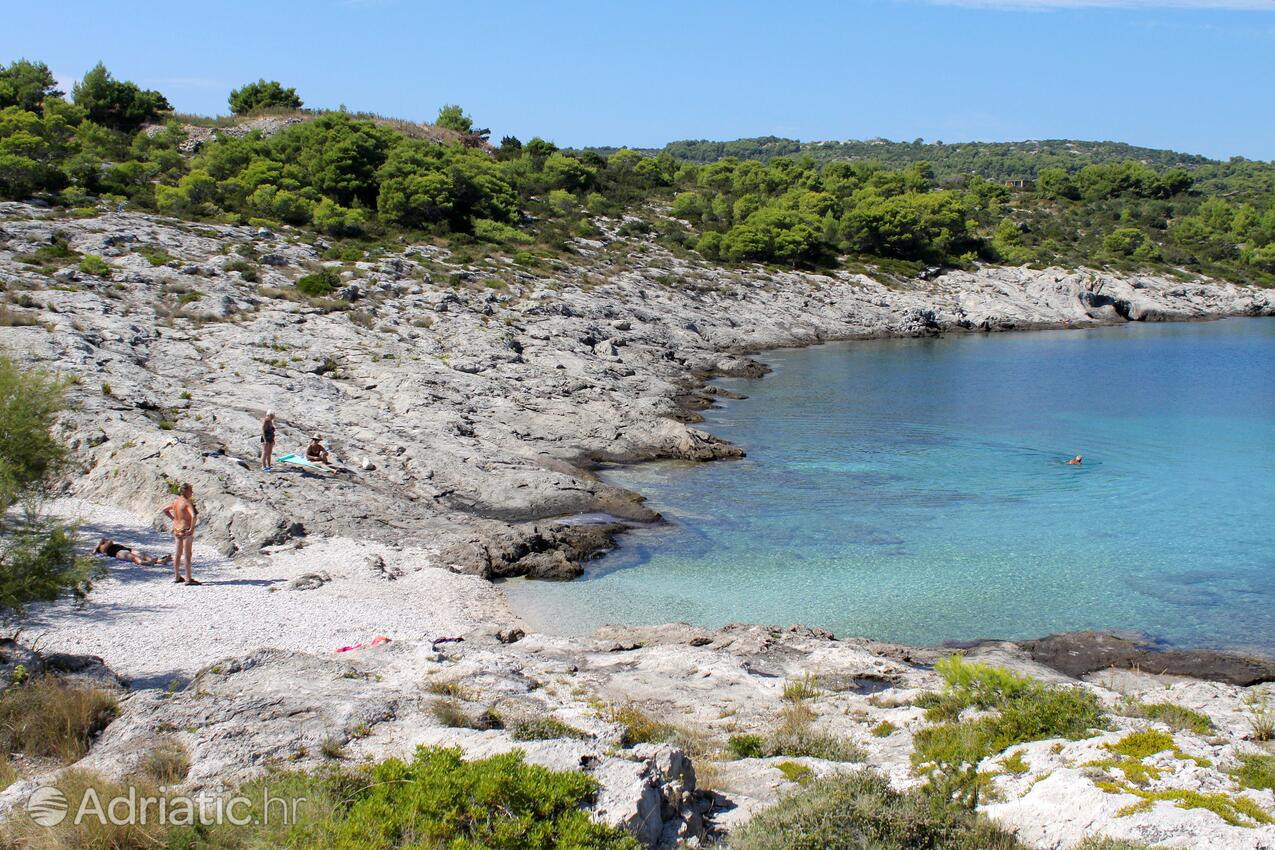 Nearby beaches - Apartments by the sea Povlja, Brač