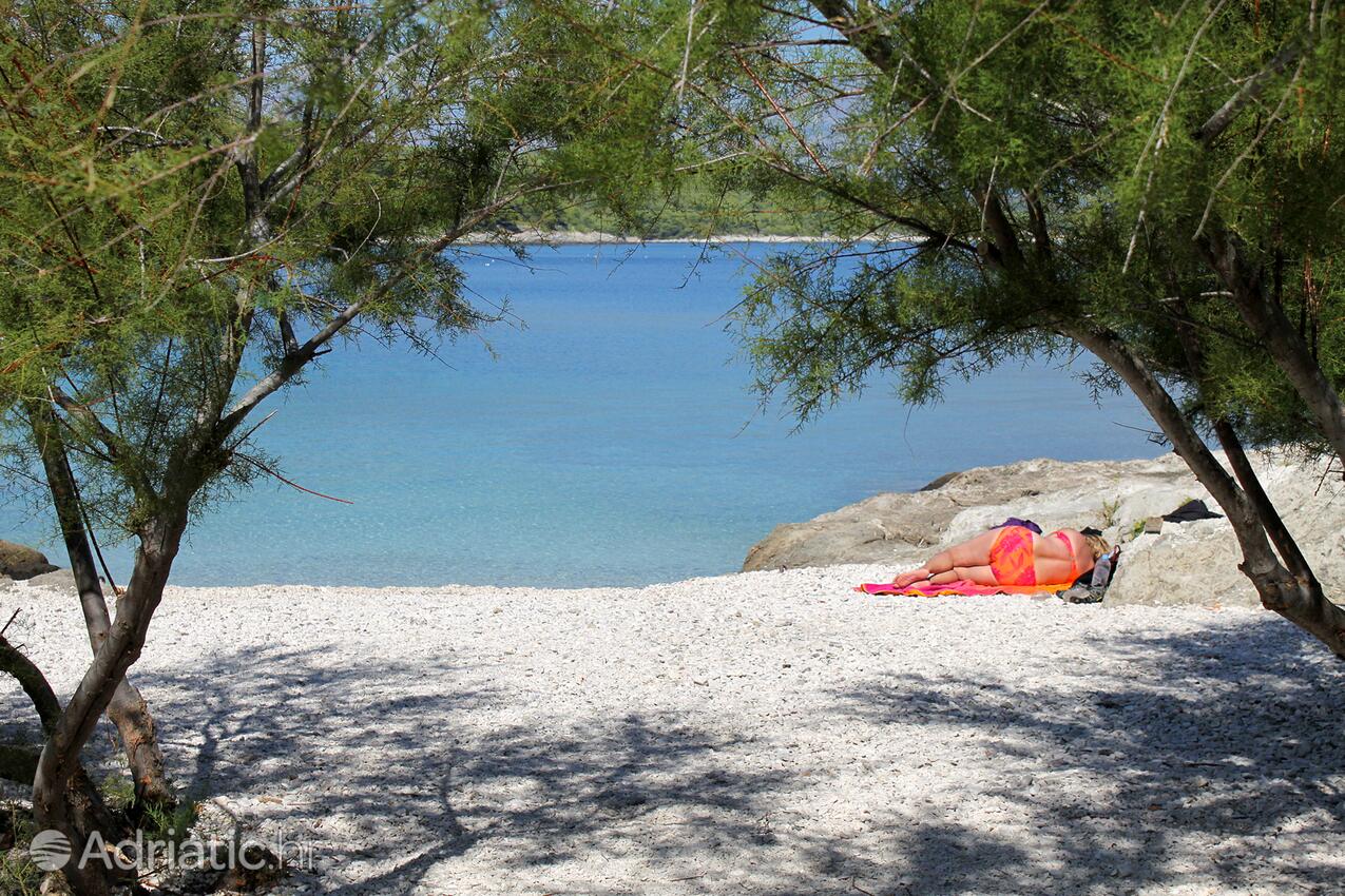 Nearby beaches - Apartments by the sea Povlja, Brač