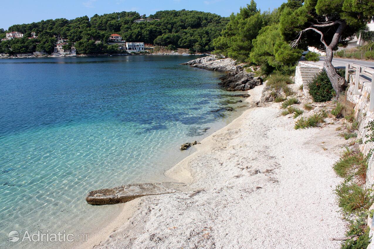 Nearby beaches - Apartments by the sea Povlja, Brač
