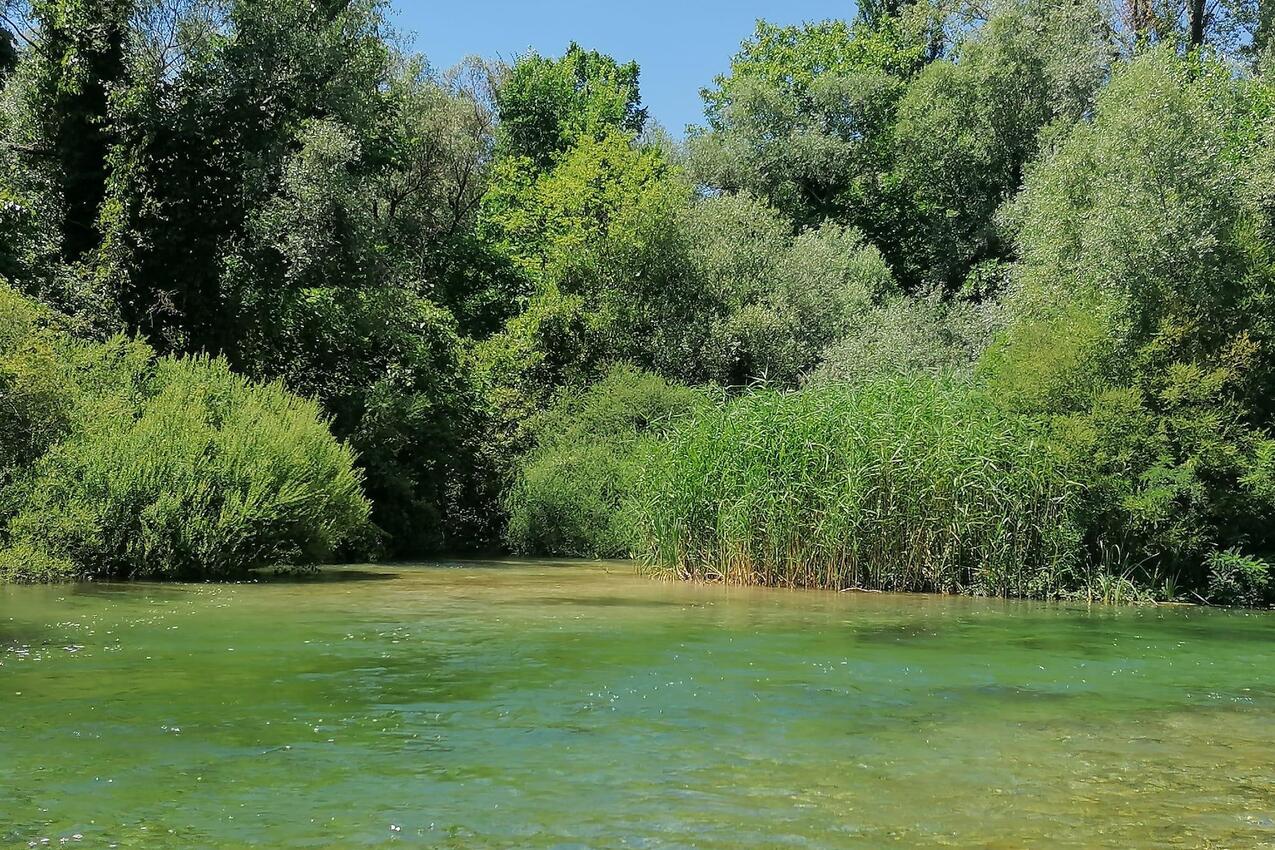 Srijane an der Riviera Zagora (Srednja Dalmacija)