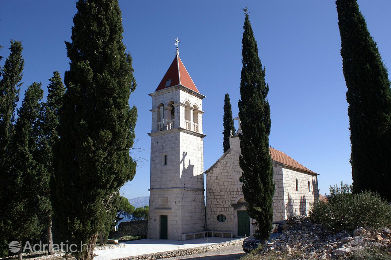 Sutivan Brač szigeten (Srednja Dalmacija)