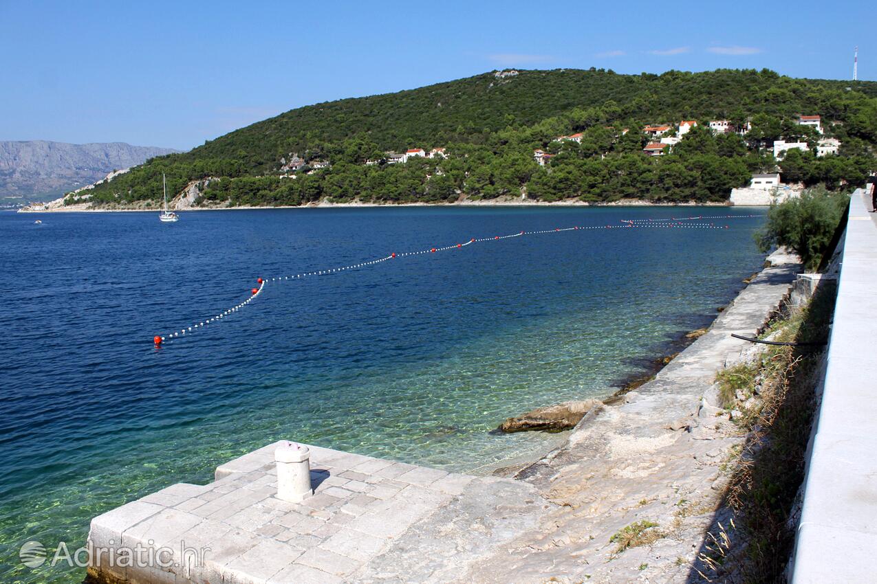 Spiagge nelle vicinanze - Casa vacanze accanto al mare Pucisca, Brazza - Brač