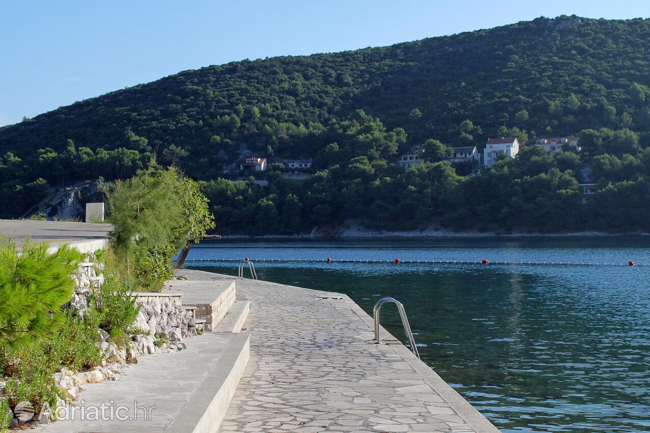 Spiagge nelle vicinanze - Casa vacanze accanto al mare Pucisca, Brazza - Brač