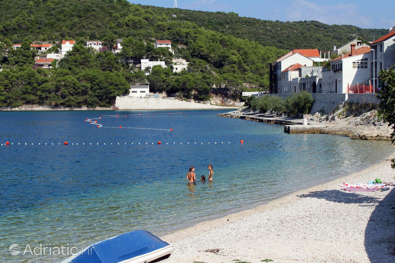 Spiagge nelle vicinanze - Casa vacanze accanto al mare Pucisca, Brazza - Brač