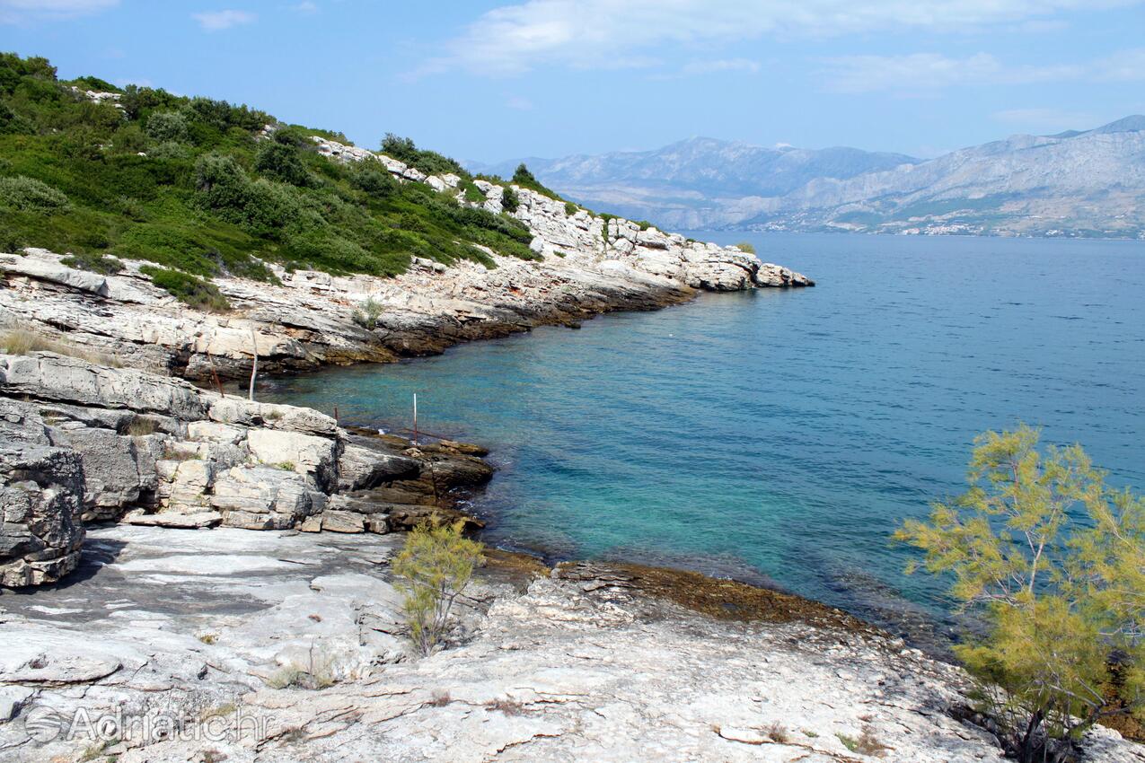 Spiagge nelle vicinanze - Casa vacanze accanto al mare Pucisca, Brazza - Brač